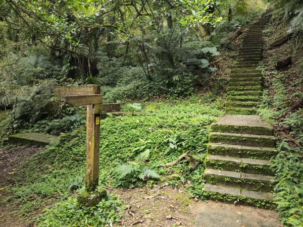 微笑山線：【二格山系】皇帝殿稜線段3003098