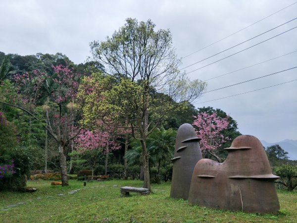 熊空茶園1295031