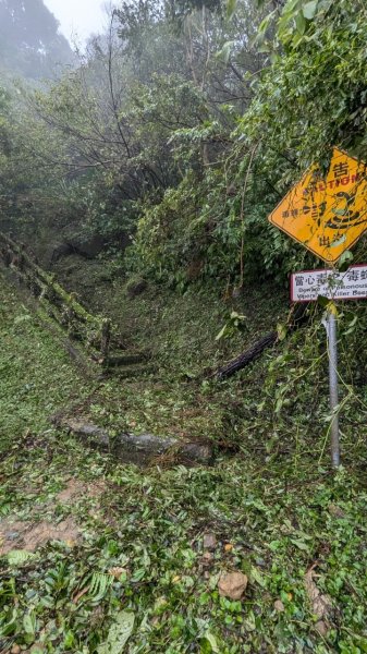 113.11.02颱風過後的二格山之行2641531