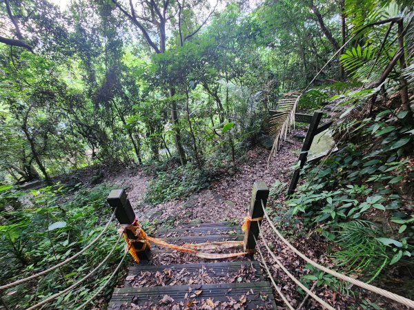 20240721泰安登山步道登七塊山2599951