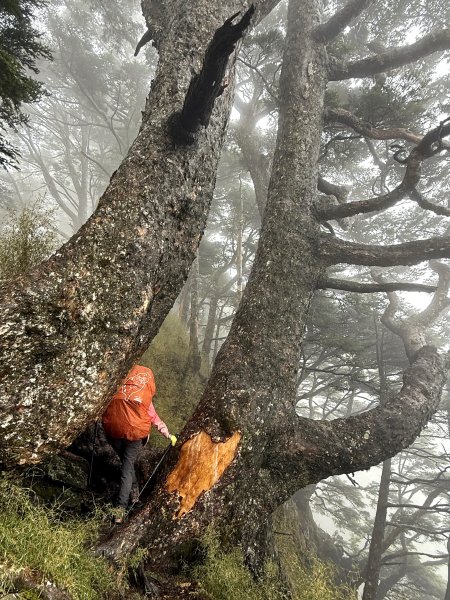 南一段 2025 / 04/02~04/062764399