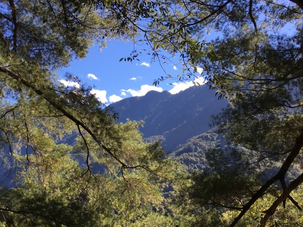 20161119_谷關七雄之四-波津加山873767