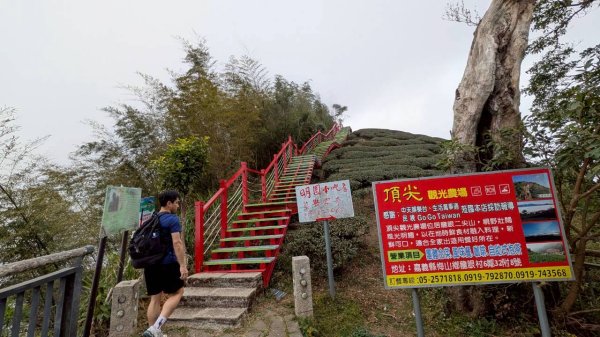 雲嘉五連峰 (大尖山、二尖山、馬鞍山、梨子腳山、太平山)2991083