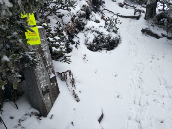 百岳:玉山南峰_雪季1575109