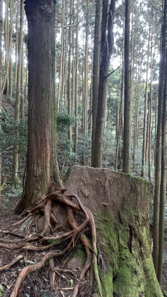 加里山東南峰2867928