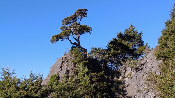 玉山南峰2116567