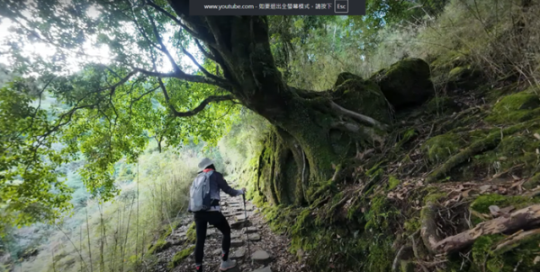 塔塔加五連峰2831412