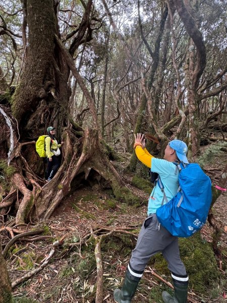 🌈12/18（三）魔法森林-塔曼山~網美打卡-巴陵鐵塔🌈2671866