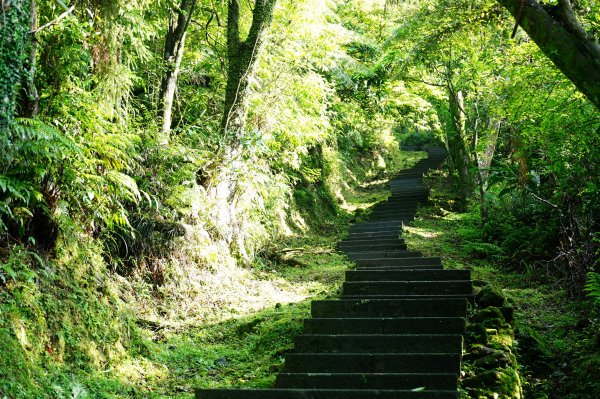 新北 平溪 頂子寮山、五分山3043968
