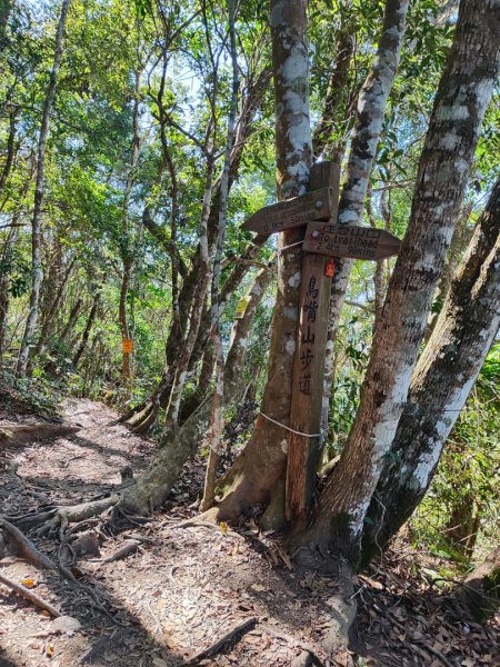 泰安鳥嘴山（上島）2689335