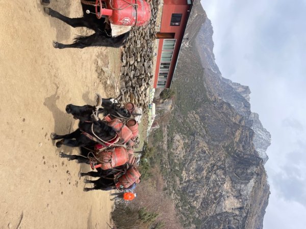 尼泊爾聖母峰EBC基地營❤️風景篇2790964