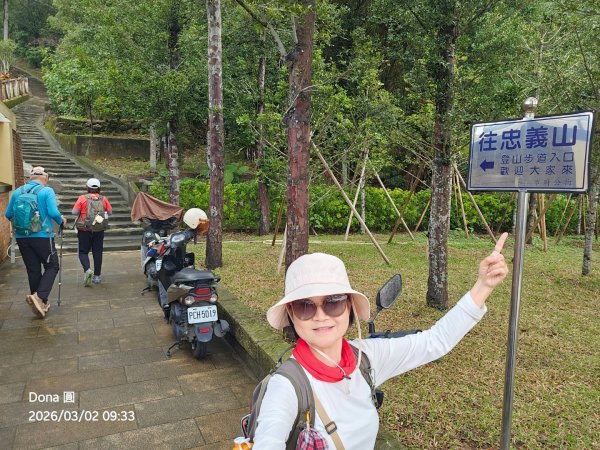 20260302忠義山.小坪頂山.貴子坑山大O走3009790