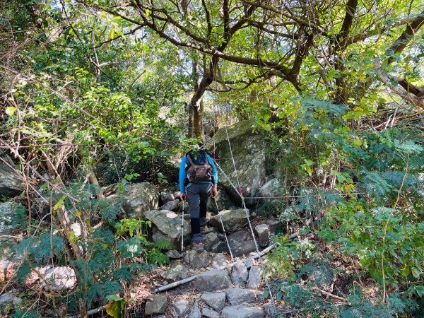 1150123里龍山2986663