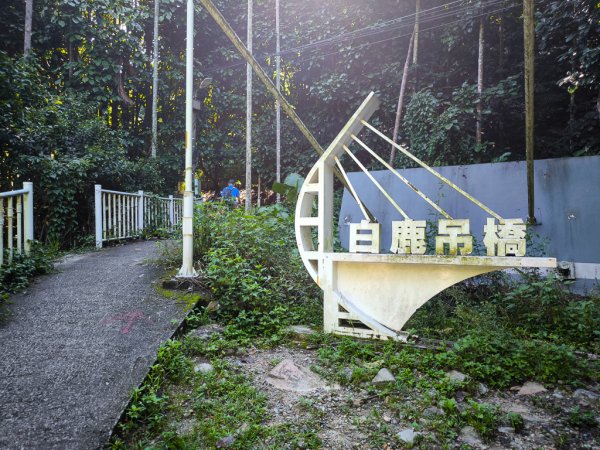 2026-07-04 白毛山3087532