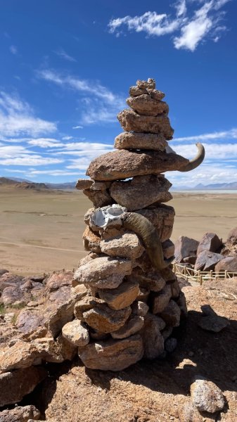 川藏318熱門的卡點-尼瑪-當惹擁措-大地之樹-雅丹地貌聖象天門2905347