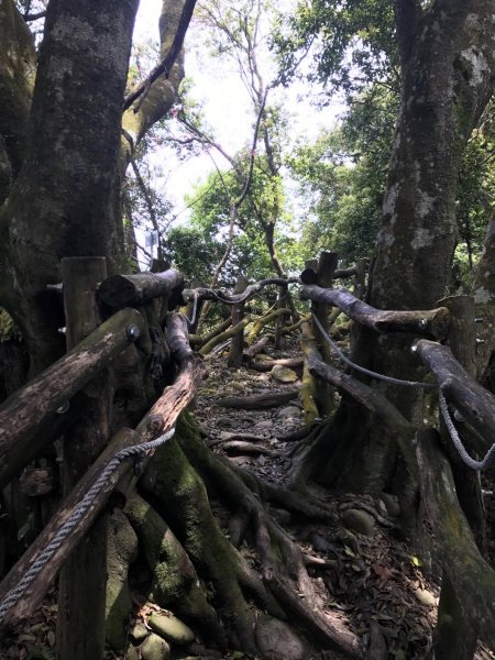 頭嵙山攻頂577440