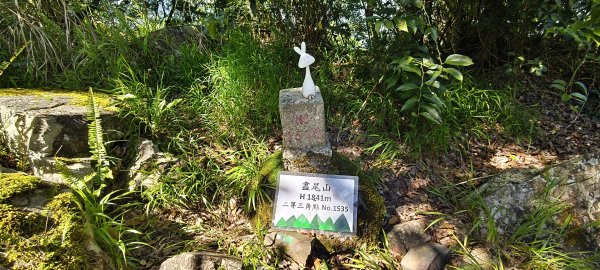 2025/06/15_盡尾山步道2812739