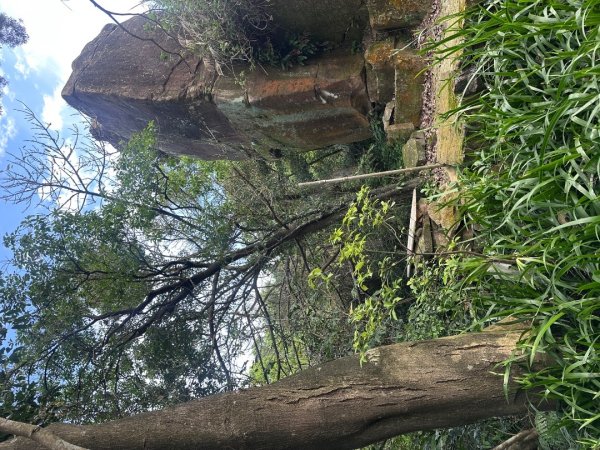 圓通寺南勢角山2765761