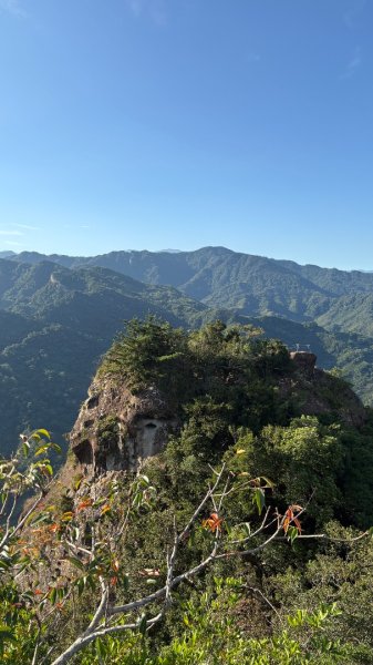 岩壁上的花、艷紅鹿子百合（12868987