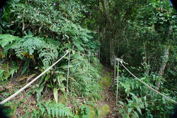 台中 和平 埋伏坪山2924972