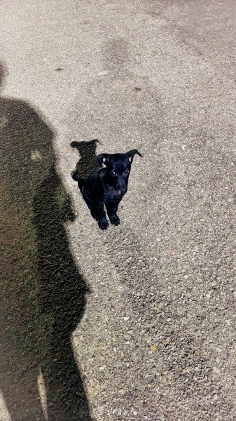 三汀山百萬夜景2849758