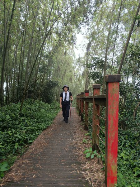 雲嘉大尖山、二尖山步道2983743