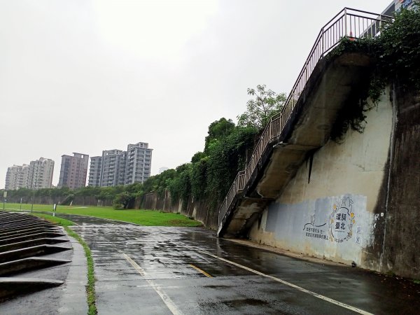 基隆河右岸尋花問草2091129
