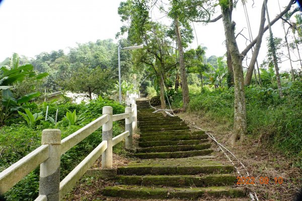 南投 鹿谷 尖子頂山(麒麟山)1841766