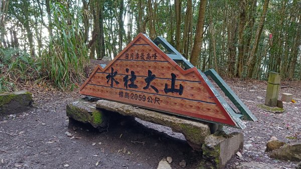 水社大山/水社主峰（青年活動中心起登）1613901