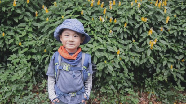 四歲小樂的第16座小百岳-紅淡山1100502
