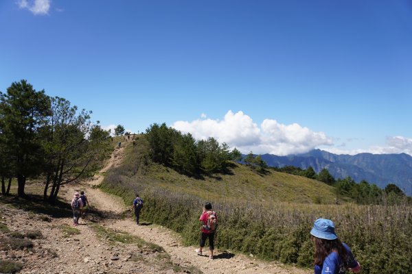 麟趾山一日遊3010211