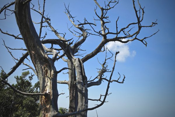 尖石鄉：那結山、貴妃山1087436