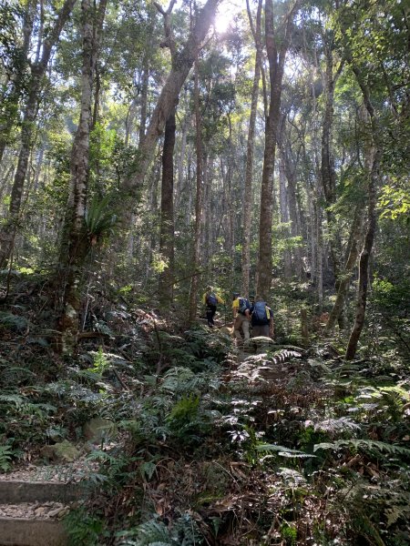 20251018台中八仙山2921437
