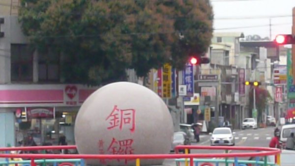 富貴吉祥～銅鑼炮仗花海公園1286811