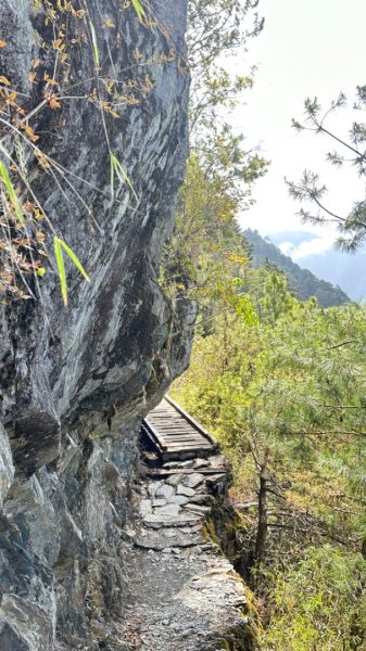 東埔-排雲-玉山西峰-玉山主峰2753206