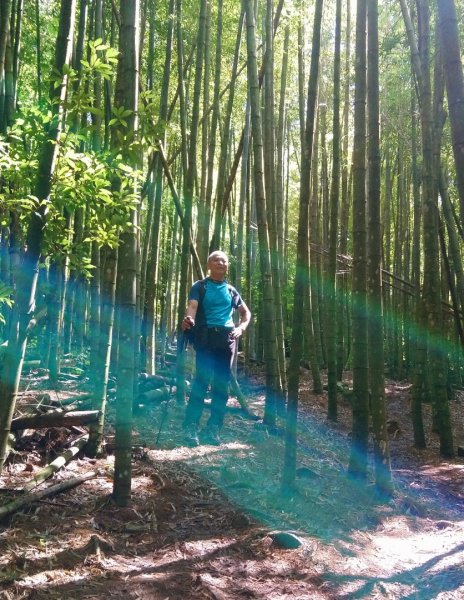 鳶嘴西稜O走（大崠山、長壽山、鳶嘴山）1073392
