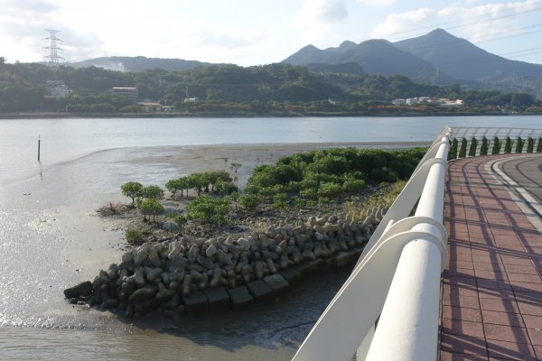 關渡水岸公園1156289