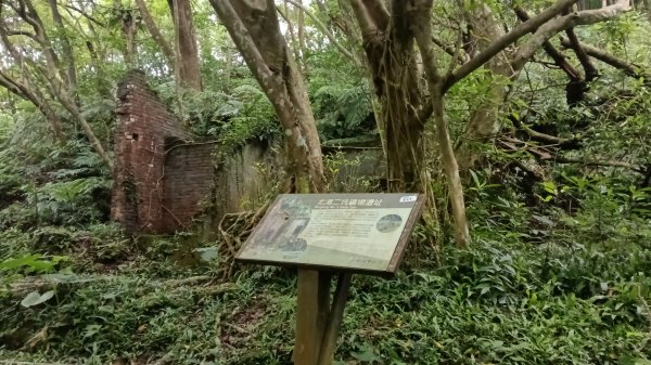 汐止區翠湖步道-學頭坡步道-老鷲尖-內溝山步道-翠湖P字走3051226