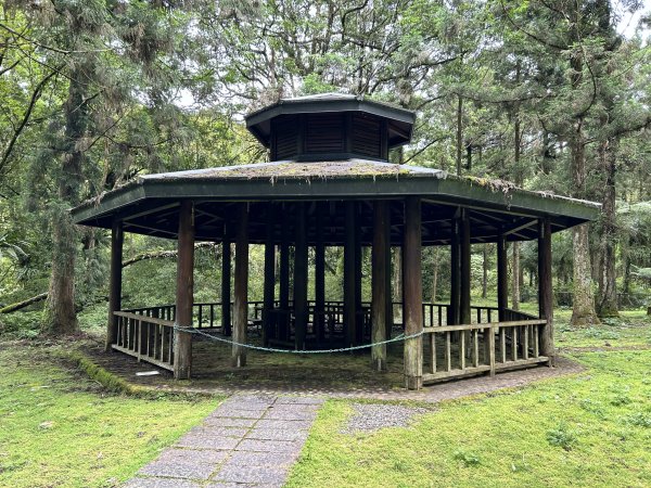 福山植物園3053387