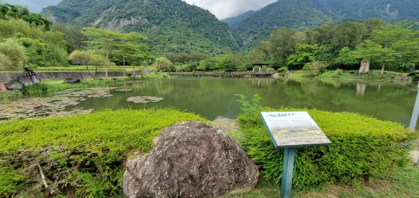 2023-06-23萬人山、六十石山步道群、羅山村竹林步道2193613