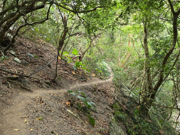 女仍山（小百岳）2752502