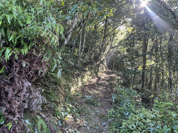 [淡蘭古道] 2025_0802 南路第四段2850815