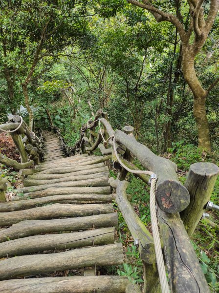 大坑1.5.2號登山步道1879732