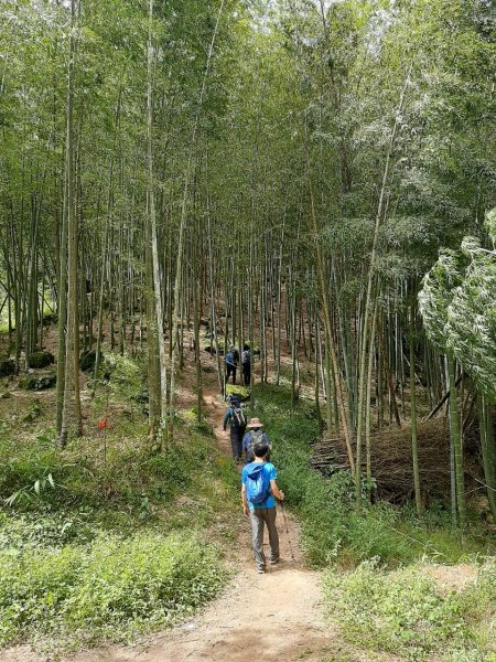 溪頭山、竹崙山、志騰山3山連走1484359