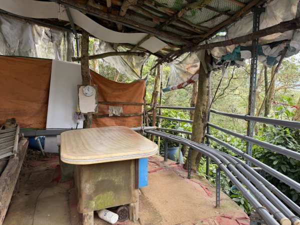 [微笑山線_第四段] 2026_0321 天上山系_三粒半3021071