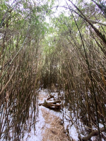 一日單攻白姑大山821470