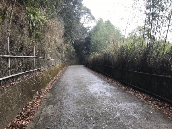 110年4月25日雲林  雲嶺之丘 五元二角 木馬古道1456548