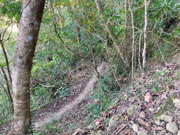 九份二山登山步道2688041