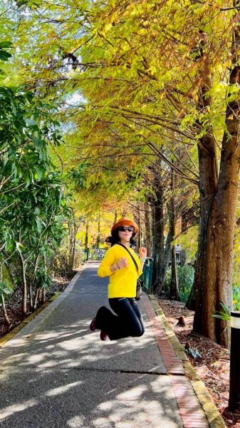🌈12/21(日)落雨松紅了~日月潭環湖精華段✨FB：熊熊趴爬走🌈2967401