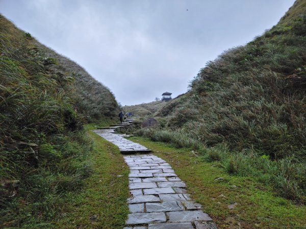 桃源谷，草嶺古道縱走1902851